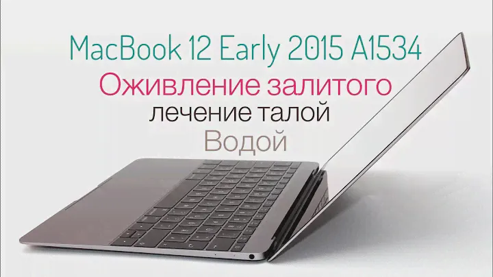 Оживление залитого MacBook 12 Early 2015 A1534